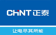 Chint Group